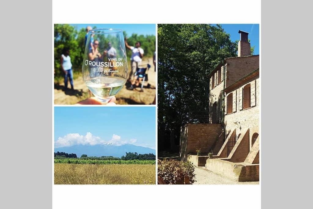 Gite De Charme Du Domaine Pagnon Guillemette トレイユ エクステリア 写真