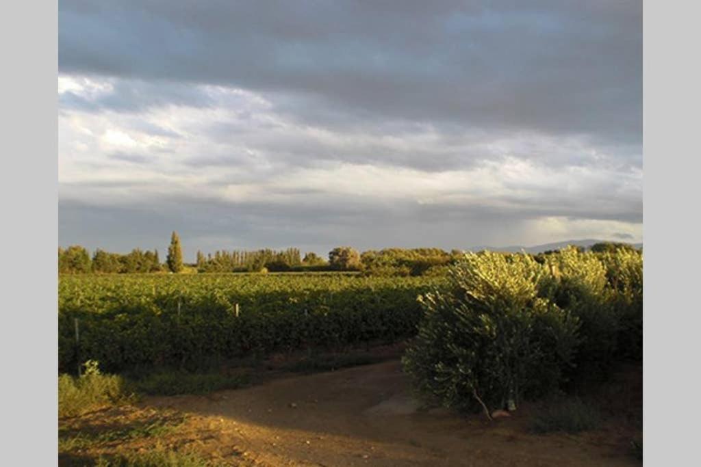 Gite De Charme Du Domaine Pagnon Guillemette トレイユ エクステリア 写真