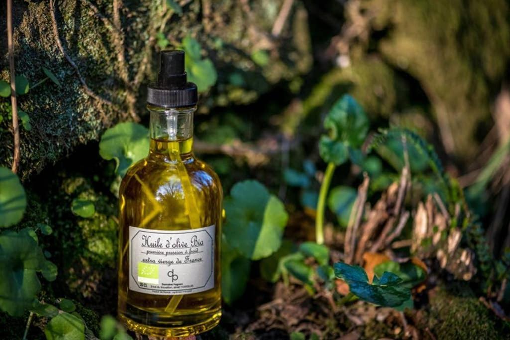 Gite De Charme Du Domaine Pagnon Guillemette トレイユ エクステリア 写真
